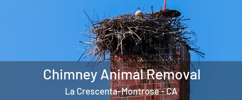  Chimney Animal Removal La Crescenta-Montrose - CA