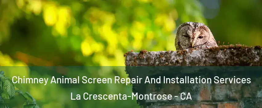  Chimney Animal Screen Repair And Installation Services La Crescenta-Montrose - CA
