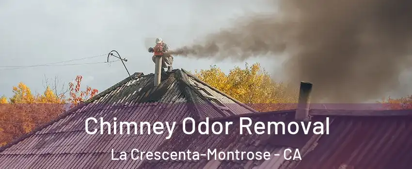  Chimney Odor Removal La Crescenta-Montrose - CA