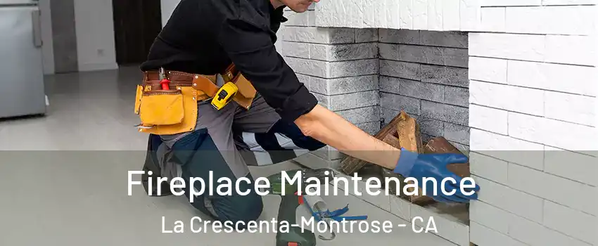  Fireplace Maintenance La Crescenta-Montrose - CA