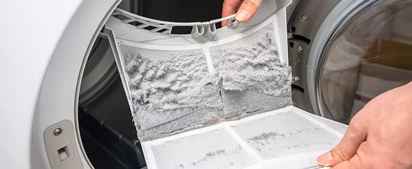 Best Dryer Lint Removal Company in La Crescenta-Montrose, California