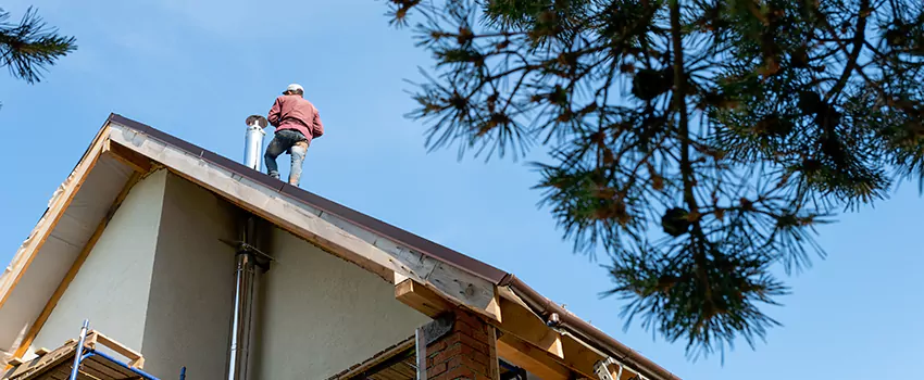 Birds Removal Contractors from Chimney in La Crescenta-Montrose, CA