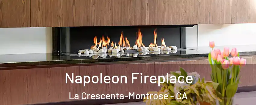 Napoleon Fireplace La Crescenta-Montrose - CA